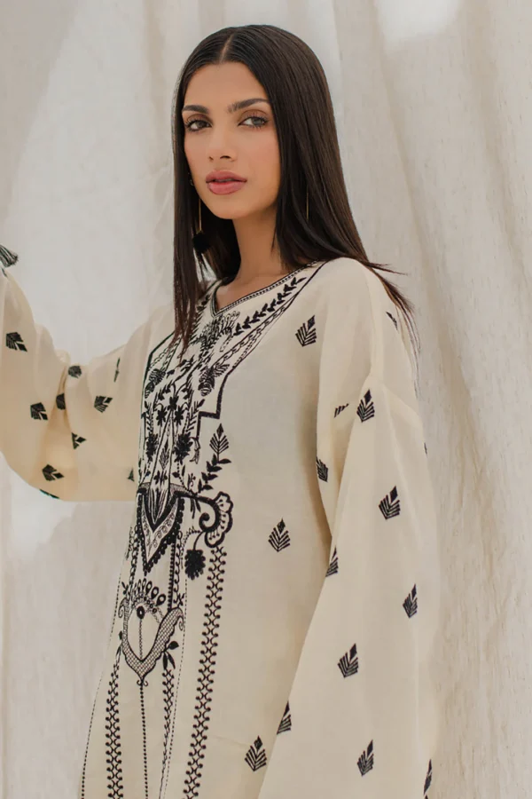 Embroidered Shirt Shalwar - Image 5