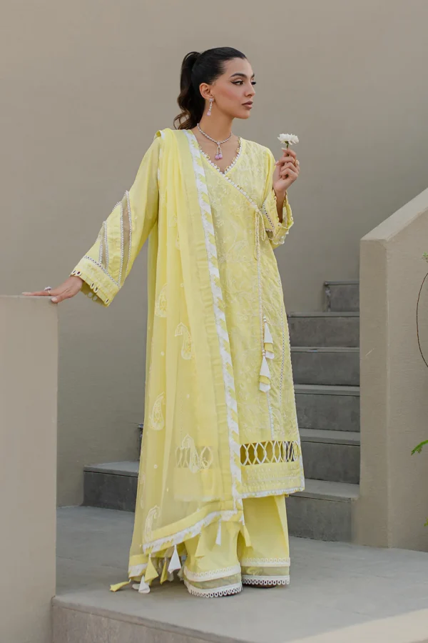 Embroidered Shirt Shalwar Dupatta - Image 2